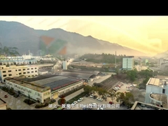 Konjac van Hubeiyizhi Biotechnologieco., Ltd